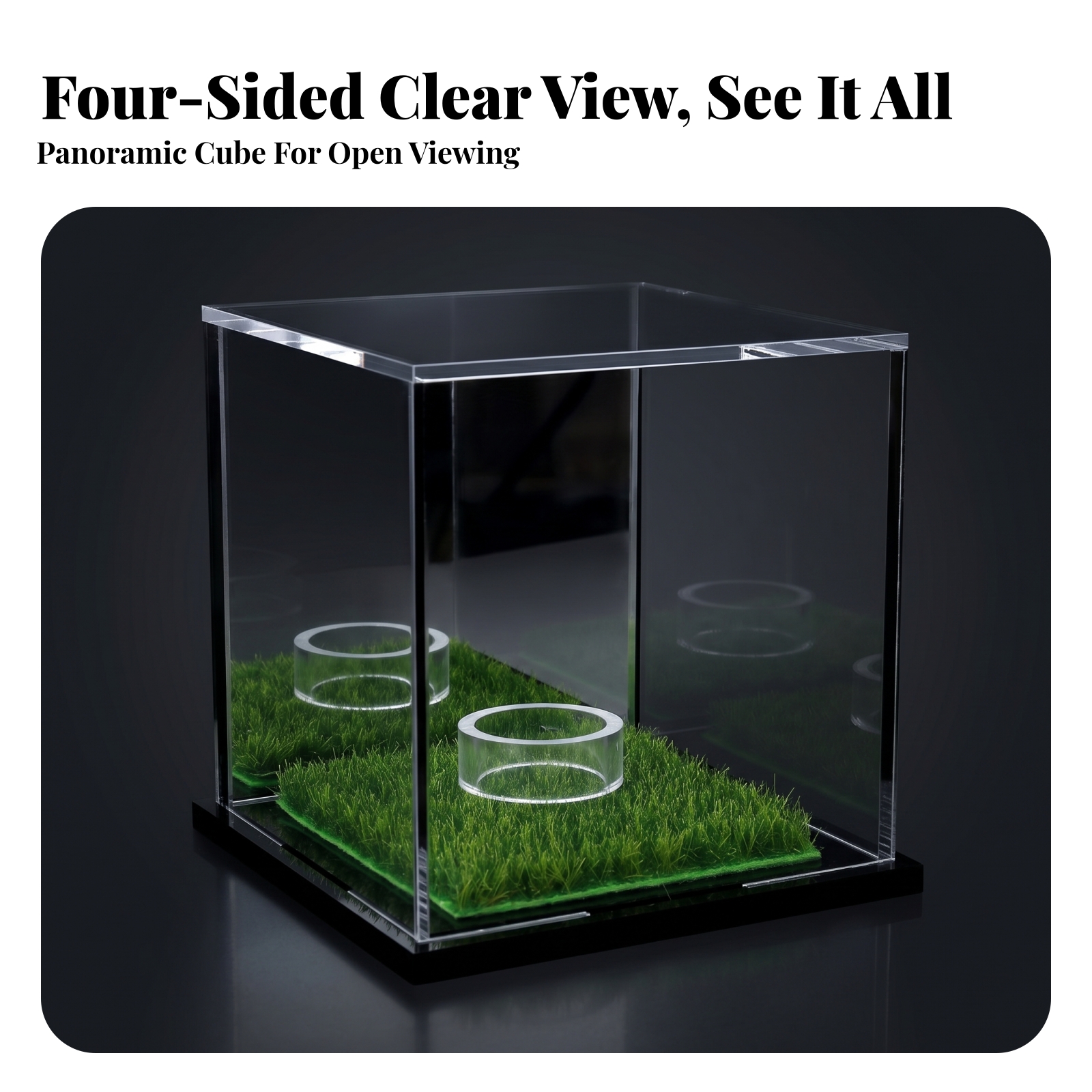 Acrylic Display Case Easy to C - Display Case Acrylic incelemesi ve fiyatı